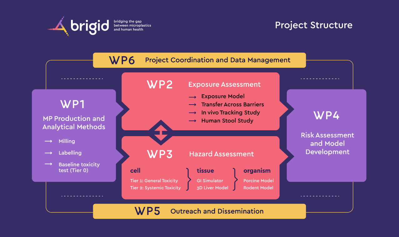 Die Struktur von Brigid ist in sechs miteinander verbundene Arbeitspakete (WPs) unterteilt, siehe unten: