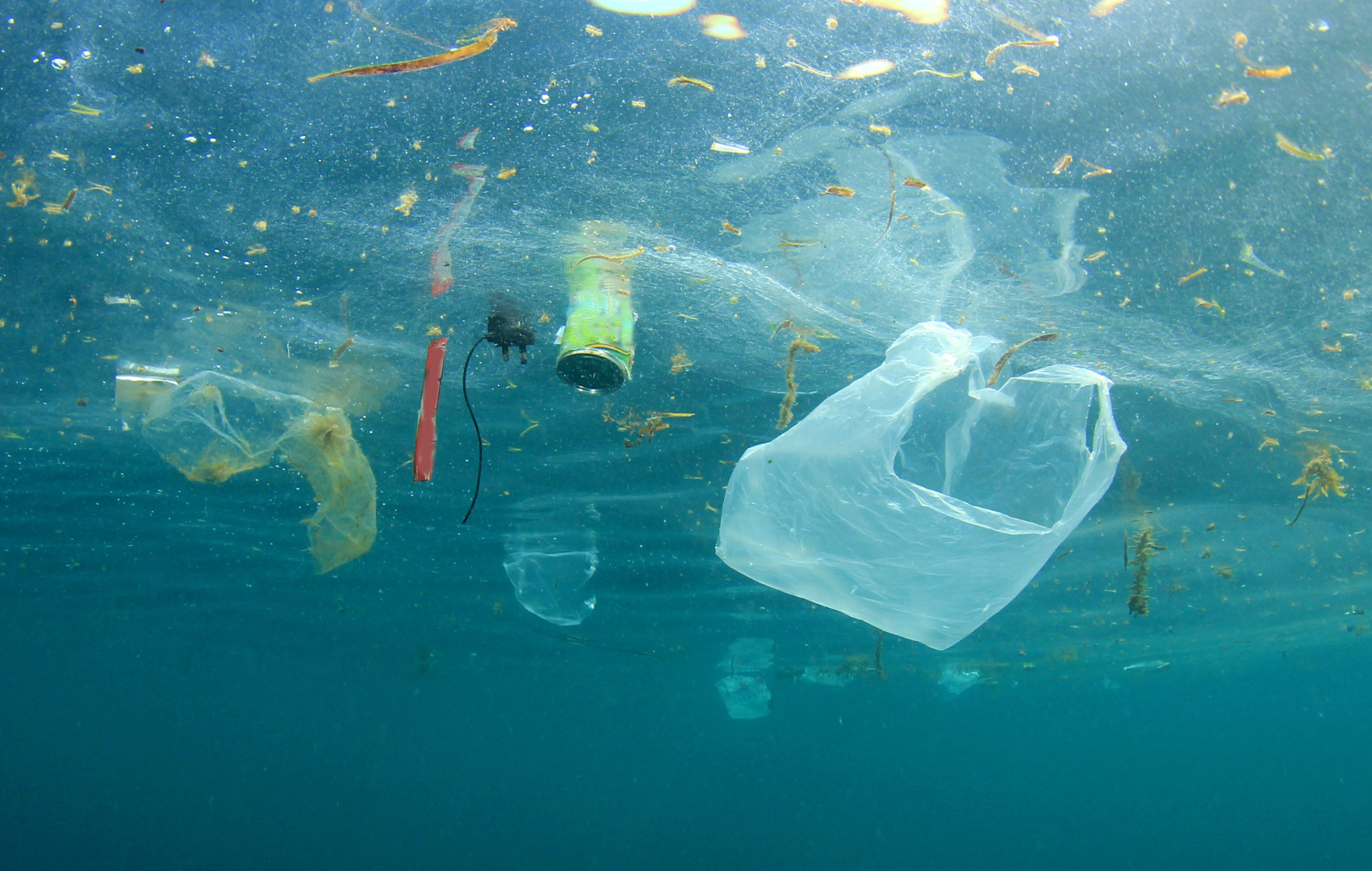 plastic waste in the ocean